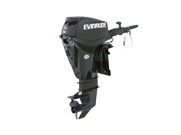 2019 Evinrude 15 HP E15HPGX